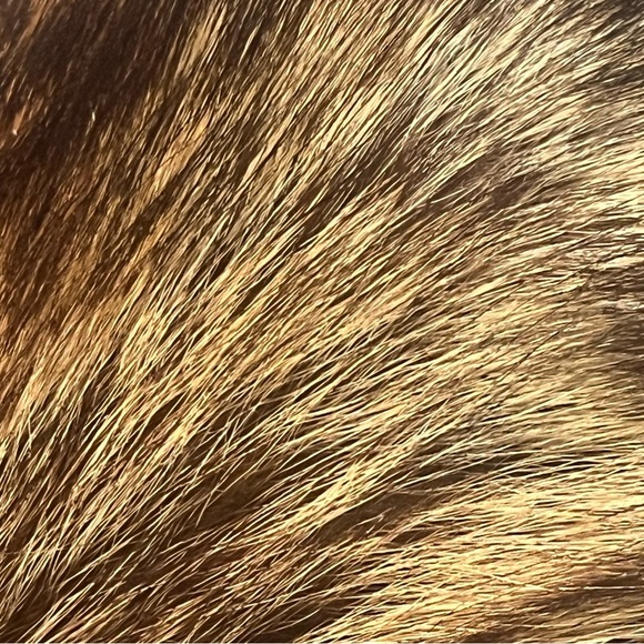 Vtg Marshal Field & Company Hat Bars Genuine Fox Fur string closure - Picture 5 of 10